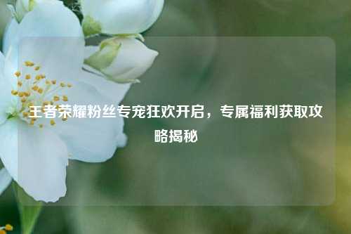 王者荣耀粉丝专宠狂欢开启，专属福利获取攻略揭秘
