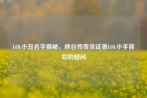 LOL小丑名字揭秘，峡谷传奇见证者LOL小手背后的疑问
