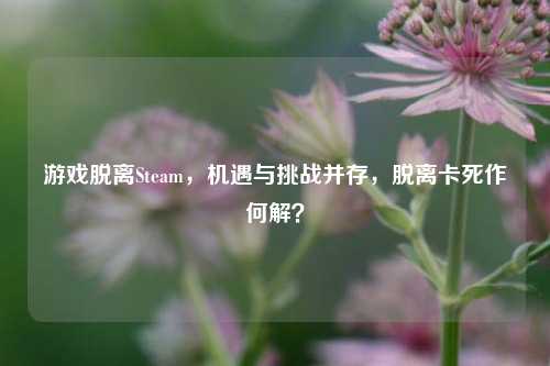 游戏脱离Steam，机遇与挑战并存，脱离卡死作何解？