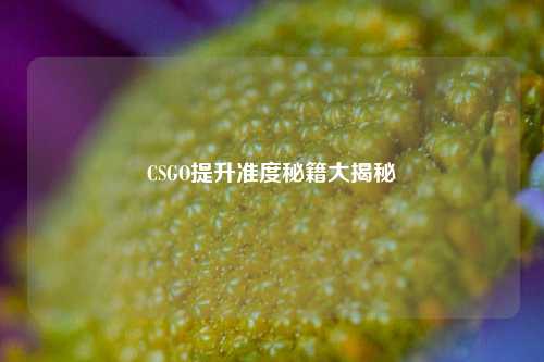CSGO提升准度秘籍大揭秘