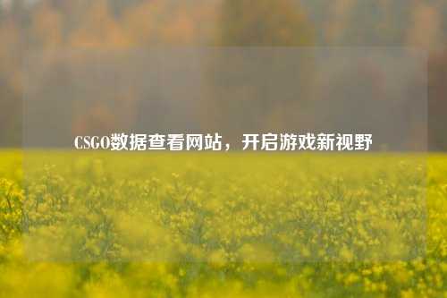 CSGO数据查看网站，开启游戏新视野
