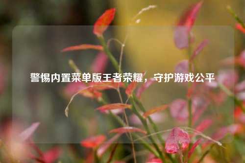 警惕内置菜单版王者荣耀，守护游戏公平