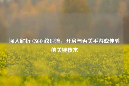 深入解析 CSGO 纹理流,开启与否关乎游戏体验的关键技术