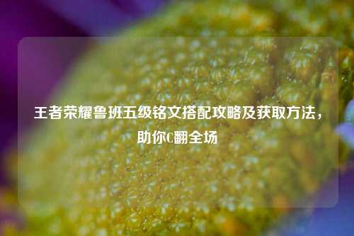 王者荣耀鲁班五级铭文搭配攻略及获取方法,助你C翻全场