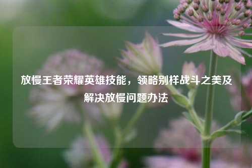 放慢王者荣耀英雄技能,领略别样战斗之美及解决放慢问题办法