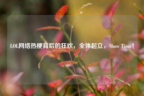 LOL网络热梗背后的狂欢，全体起立，Show Time！
