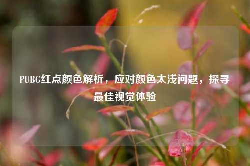PUBG红点颜色解析,应对颜色太浅问题,探寻最佳视觉体验