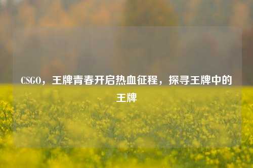 CSGO,王牌青春开启热血征程,探寻王牌中的王牌