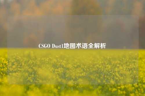 CSGO Dust1地图术语全解析