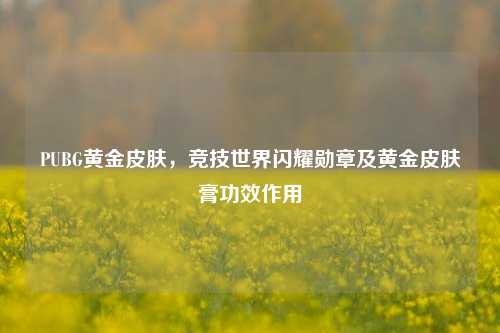 PUBG黄金皮肤,竞技世界闪耀勋章及黄金皮肤膏功效作用