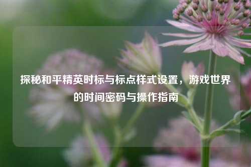 探秘和平精英时标与标点样式设置,游戏世界的时间密码与操作指南