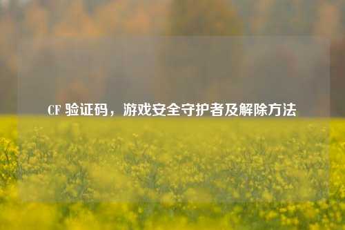 CF 验证码,游戏安全守护者及解除方法