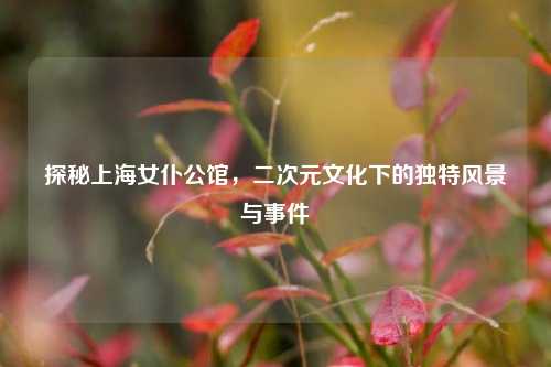 探秘上海女仆公馆,二次元文化下的独特风景与事件