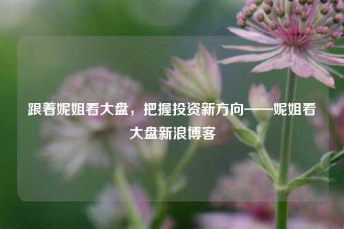 跟着妮姐看大盘，把握投资新方向——妮姐看大盘新浪博客