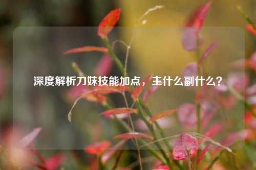 深度解析刀妹技能加点,主什么副什么?