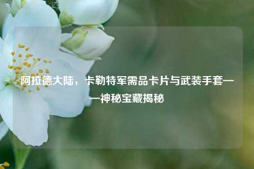 阿拉德大陆,卡勒特军需品卡片与武装手套——神秘宝藏揭秘