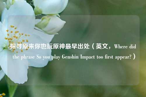 探寻原来你也玩原神最早出处(英文,Where did the phrase So you play Genshin Impact too first appear?)