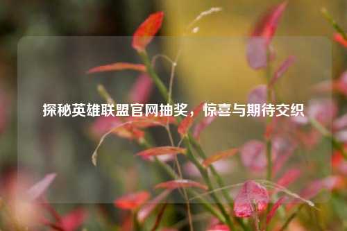 探秘英雄联盟官网抽奖,惊喜与期待交织