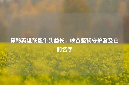 探秘英雄联盟牛头酋长，峡谷坚韧守护者及它的名字