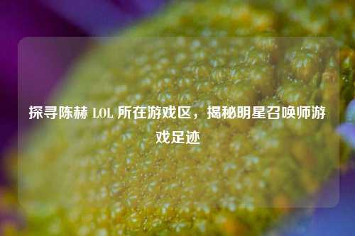 探寻陈赫 LOL 所在游戏区,揭秘明星召唤师游戏足迹