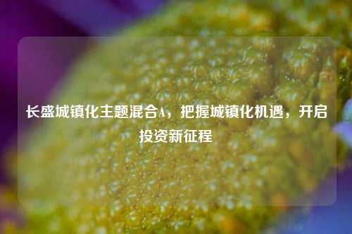 长盛城镇化主题混合A,把握城镇化机遇,开启投资新征程