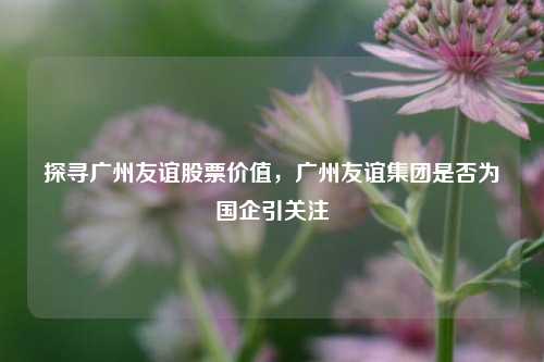 探寻广州友谊股票价值,广州友谊集团是否为国企引关注