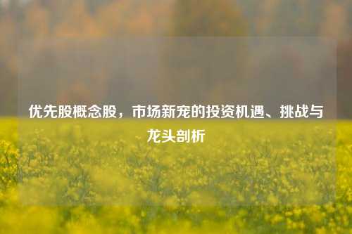 优先股概念股,市场新宠的投资机遇、挑战与龙头剖析
