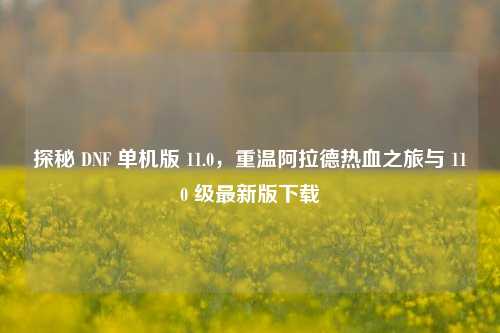 探秘 DNF 单机版 11.0,重温阿拉德热血之旅与 110 级最新版下载