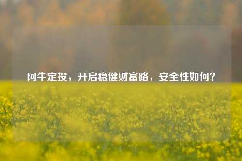 阿牛定投，开启稳健财富路，安全性如何？