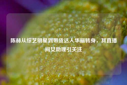 陈赫从综艺明星到带货达人华丽转身，其直播间女助理引关注